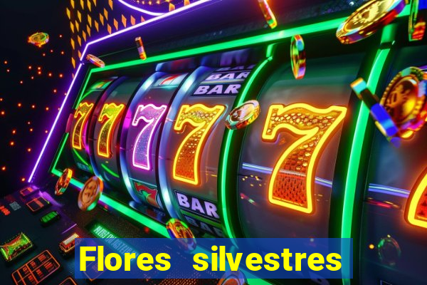 Flores silvestres brasileiras brasileiras flores silvestres nomes e imagens